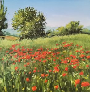 Campo di papaveri nel senese