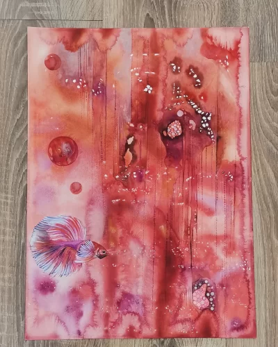 Rosso IV il pesce combattente